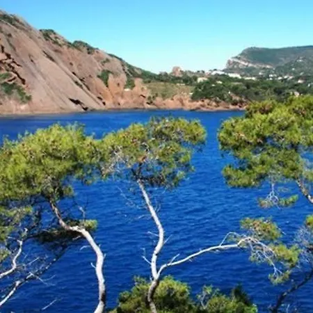 Coeur De Lumiere Apartment La Ciotat