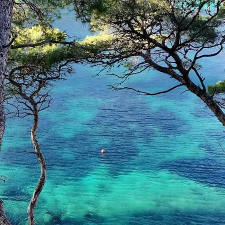 Coeur De Lumiere La Ciotat
