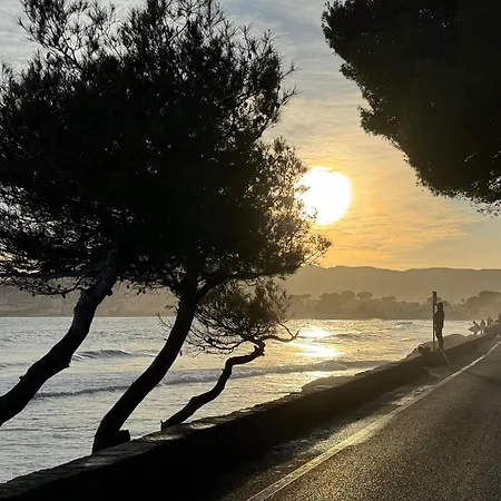 Coeur De Lumiere *
