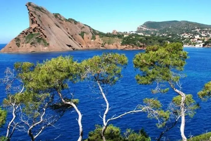 Coeur De Lumiere Apartmán La Ciotat